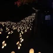 やーさんの画像