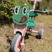 Maaの画像