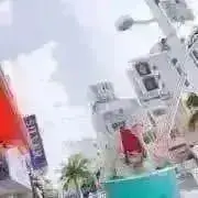 まほの画像