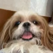 LOCO