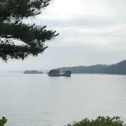 jagmttpの画像
