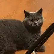stickの画像