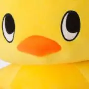 hiyokoの画像