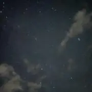 おこめの画像