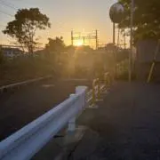 はたはたの画像