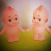 キツネの森の画像