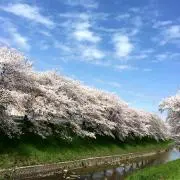 Ka Hiの画像