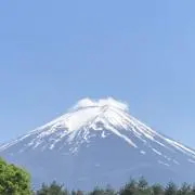 ぶちの画像