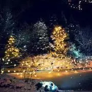 Kalleの画像