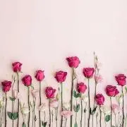 y.store 即購入OK！の画像