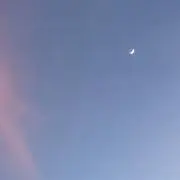 ヤマの画像