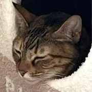 meimeiの画像
