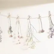 さの画像