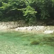 さっちゃんの画像