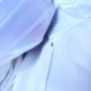 5さいの画像