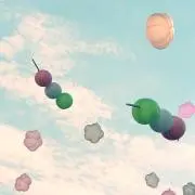 みみみの画像
