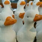あひる【おまとめ買い歓迎☺︎】の画像