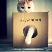 mokumoku