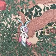 ぴぴの画像
