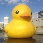 さくの画像