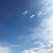 すみれ0424