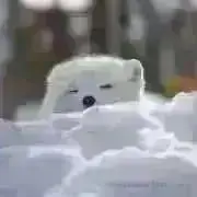 メル ⭐︎プロフ読んでくださいの画像