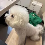 とトロの画像
