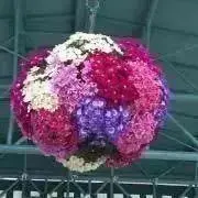 torin（ご購入前にコメント下さい）