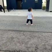 とっくーの画像