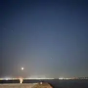 みみの画像