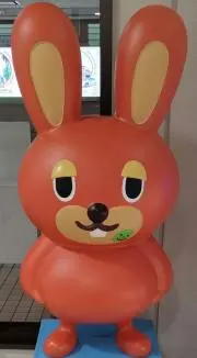 mszの画像
