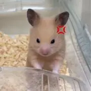 るの画像