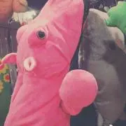 noa