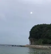 蘭純