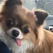 Hiro