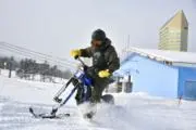 T.Mの画像