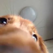 サッカー