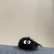あきの画像