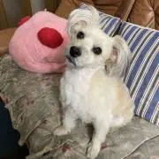 みーちゃん