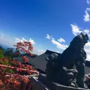 nunuの画像