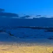 藤の画像