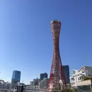 PLTRの画像