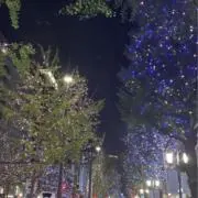 popoの画像