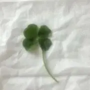 あいりぃ