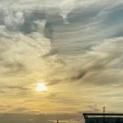 ゆこの画像