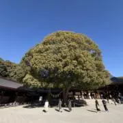株式会社 Mabo.の画像