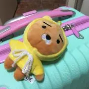 りほ
