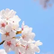 ta