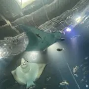 みきの画像