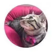 miの画像